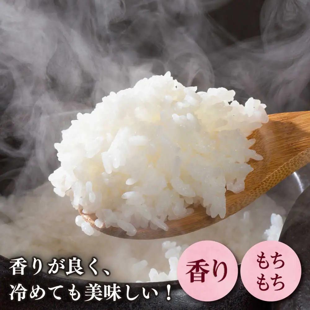 【令和7年産】果物屋さんが選んだ米 夢つくし 10kg 米 白米 お米 ブランド米[ABET009]