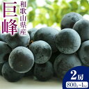 【ふるさと納税】巨峰 2房（約800g〜1kg） 魚鶴商店 《2025年8月中旬-9月末頃出荷》 和歌山県 日高町 フルーツ ぶどう 巨峰 2kg 和歌山県産 送料無料