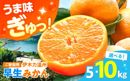 5kg【3回定期便】伊木力温州早生みかん5kg(ご家庭用、箱入り) / 伊木力 温州みかん みかん ミカン 蜜柑 佐瀬 諫早 多良見 長崎 早生　/ 末永果樹園 [AHBD011]