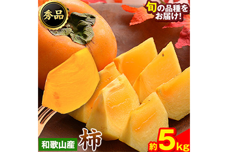 和歌山県産 和歌山県産 柿 秀品 約5kg 前商店《9月下旬-11月中旬頃出荷》柿 かき フルーツ スイーツ 果物 送料無料---wsk_mes21_9g11c_25_14000_5kg---