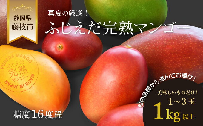 【ふるさと納税】 完熟マンゴー 1kg 糖度約16度程 2026年7月頃順次発送 厳選 フルーツ 果物 国産 マンゴー 数量限定 トロピカルフルーツ アーウィン マハチャノック ナンドクマイ 紅キンコウ キーツ 夏 静岡県 藤枝市