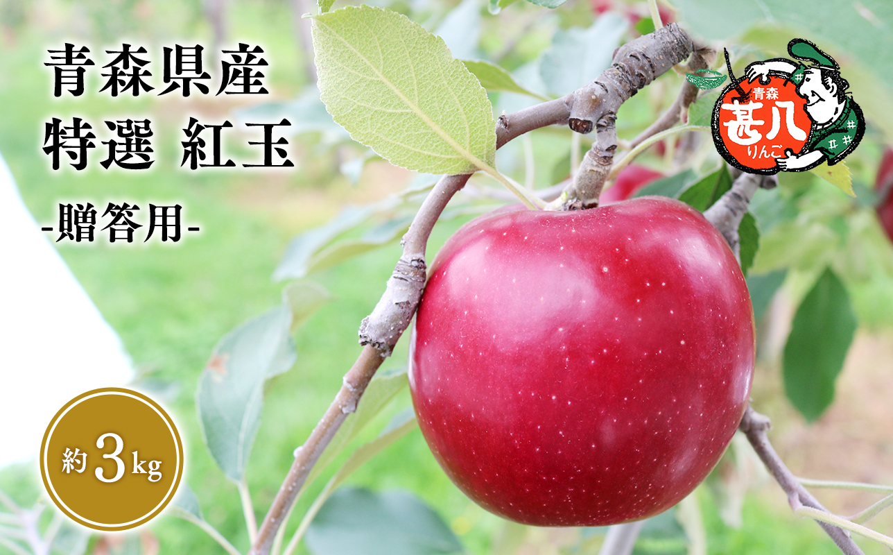 １０月発送　特選　甚八りんご紅玉３kg【青森県 平川市 マルジンサンアップル】