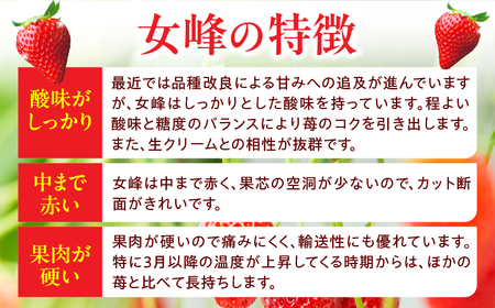 ≪先行予約≫ NATSUMI ICHIGO 女峰 約1.8kg以上 （2027年1月～6月配送） | スイーツ いちご ストロベリー 女峰 1kg以上 苺 冷蔵 フルーツ 旬 果物 香川県 デザート 