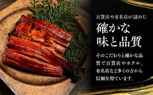 No.211 大阪府藤井寺市産　美陵鰻