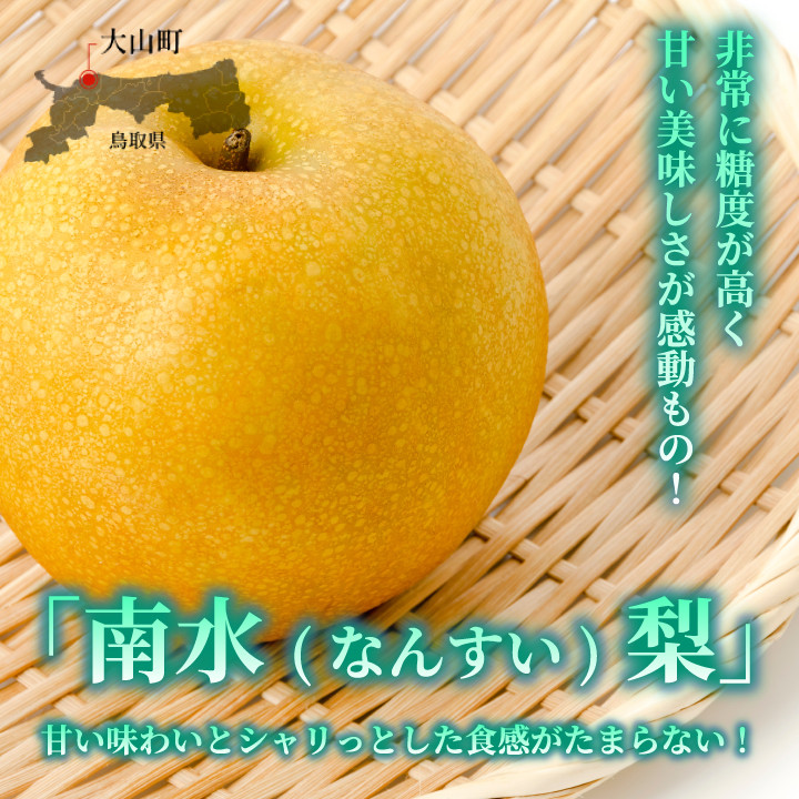
            DS-06　南水梨（なんすいなし）（５ｋｇ）
          
