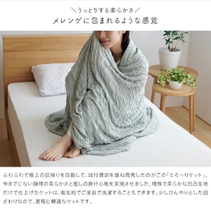 【綿なし】とろーりケット シングル(グリーン)_とろーりケット シングル 薄手 綿なし 洗える 140 × 190cm バッグ入り とろーり 涼しい 掛け心地 ひんやり 肌ざわり 衛生的 夏 快適 晩