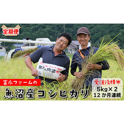 【ふるさと納税】富永ファーム【お米定期便/全12回】魚沼産コシヒカリ（精米）10kg（5kg×2） 白米 ご飯 ブランド米 銘柄米 精米したて 新潟県産 直送 主食 炭水化物 複数回 1年 お届け 　お届け：寄附入金月の翌月より発送