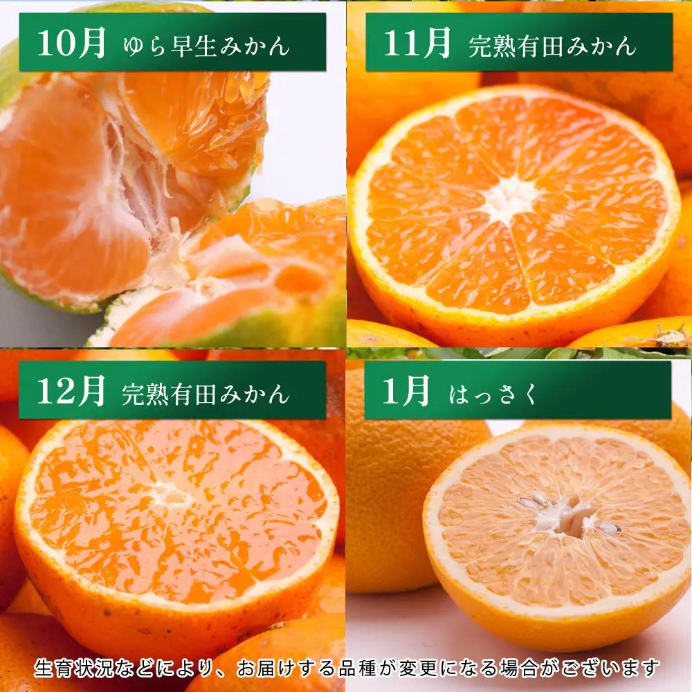厳選 柑橘定期便M（毎月）全12回 ［IKE292］