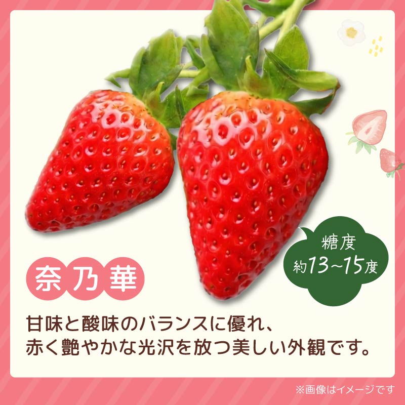 いちご 奈乃華 古都華 セット 2027年 発送（270g×2パック）予約受付中 数量限定 早期終了 予定あり  家庭用 イチゴ 先行予約 苺 奈良ブランド苺 ブランド 古都華 大粒 苺 旬 産地 直