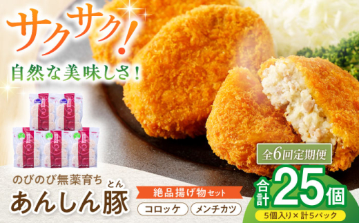【6回定期便】あんしん豚 コロッケ・メンチカツセット 豚肉 ロース 国産 白川町 / 藤井ファーム [AWAF023]