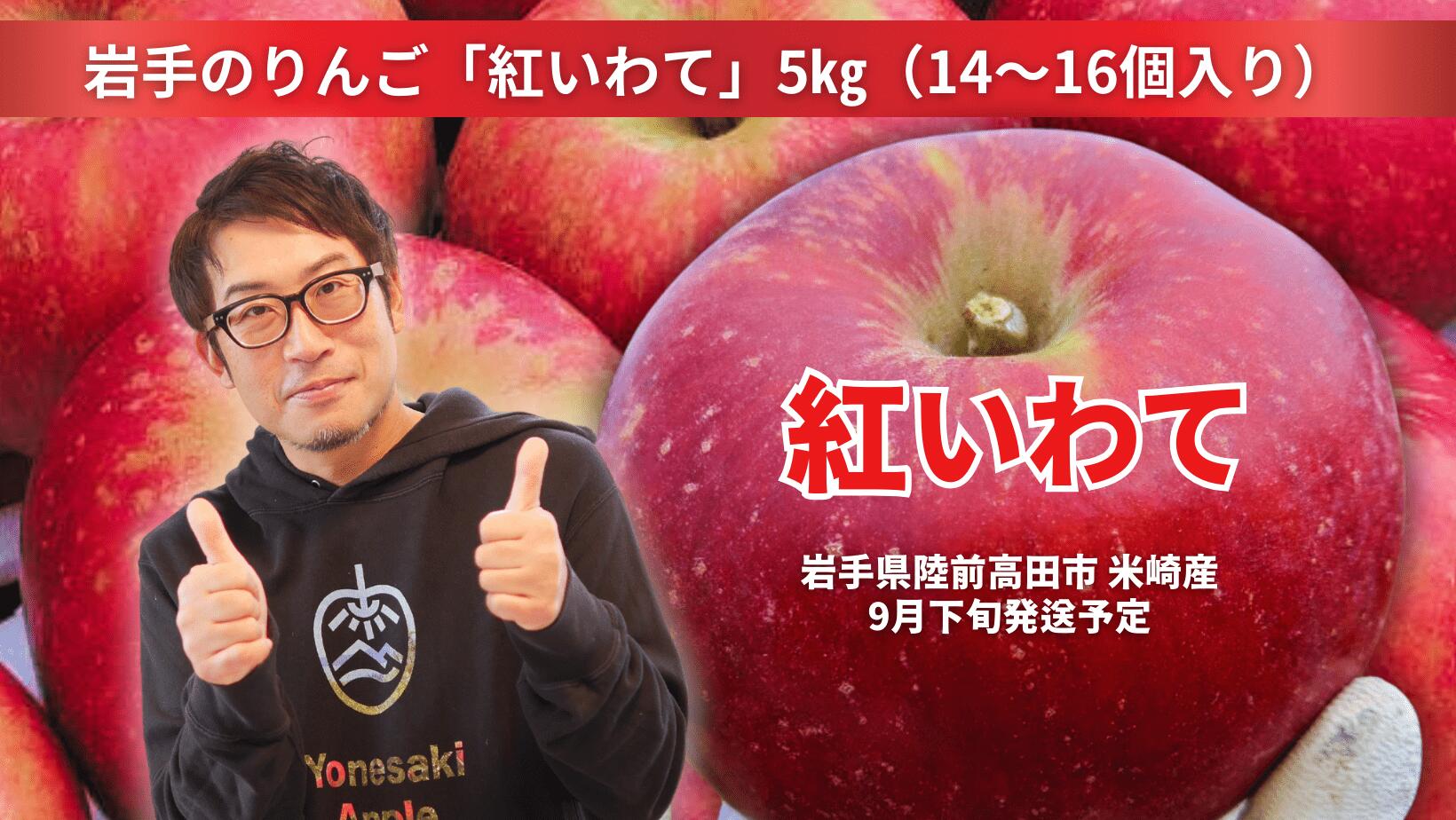 【ふるさと納税】先行予約 米崎りんご 紅いわて 5kg ( 12〜16個 ) 奇跡の果実 [ りんご リンゴ 林檎 フルーツ 果物 くだもの 旬 人気 おすすめ お取り寄せ リピート セット 詰め合わせ 手土産 ギフト プレゼント 贈り物 贈答品 国産 岩手 陸前高田 ]