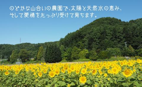 豊潤な香り「特選甘熟キングメロン」1玉