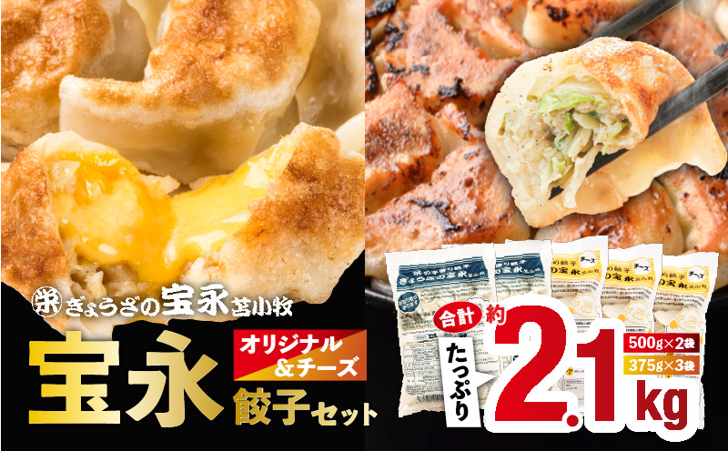 宝永オリジナル＆チーズ餃子セット【宝永餃子 500g×2袋・チーズ餃子 375g×3袋】　T004-002