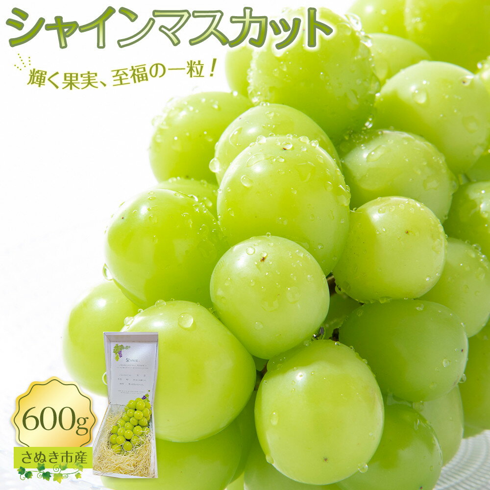 【ふるさと納税】【9月上旬から発送】シャインマスカット 600g【先行予約 朝採り出荷 厳選 シャインマスカット 旬のフルーツ ぶどう 香川県 さぬき市】