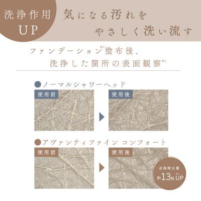 ふるさと納税 岐阜市 アヴァンティファインコンフォート+浄水カートリッジ2本セット 浄水機能 ファインバブルシャワーヘッド |  | 02