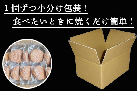 【3月中発送】1957年創業 特上ハンバーグ 140g×20個(合計2.8kg) 「唐津バーグ」商標登録済!! 冷凍真空パック 惣菜「2023年 令和5年」簡単調理ハンバーグ 牛肉ハンバーグ 大人気ハ