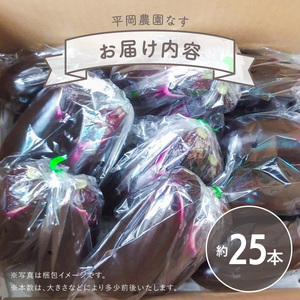 先行予約 なす 約25本 茄子 ナス 産地直送 天敵栽培 期間限定 【2024年7月以降発送】
