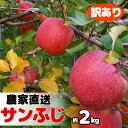 【ふるさと納税】【訳あり】農園直送 ふるさと納税 りんご サンふじ（花巻りんご）2.4kg前後