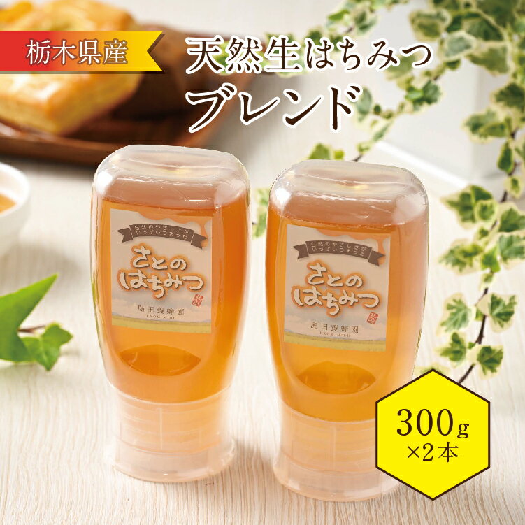 【ふるさと納税】栃木県産 はちみつブレンド ピタット (300g 2本セット) はちみつ 国産 蜂蜜 ギフト 栃木県壬生町