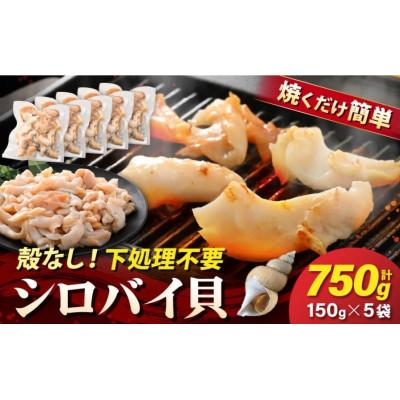 ふるさと納税 越前町 【先行予約】越前町産 天然 シロバイ貝むき身(加熱用・下処理済み)150g×5袋(計750g)
