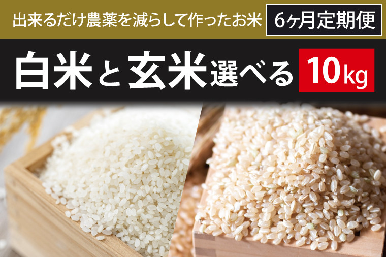 
                  【2026年10月より順次発送】【6ヶ月定期便】【できるだけ農薬を減らして作ったお米】令和8年産こしひかり 10kg(白米または玄米)｜米 こしひかり 新米 定期便(BI-84)
                