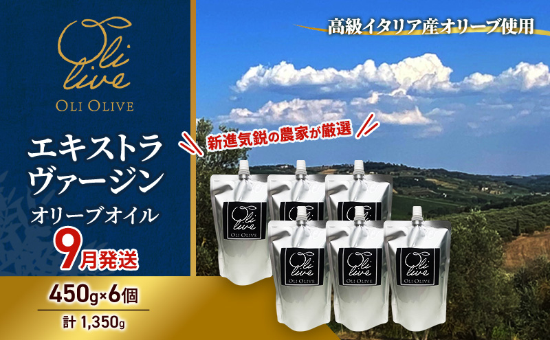 高級イタリア産 エキストラ・ヴァージン・オリーブオイル 450g×6個【2026年9月中旬より順次発送】調味料 油 オリーブ油 食用油 静岡県 袋井市