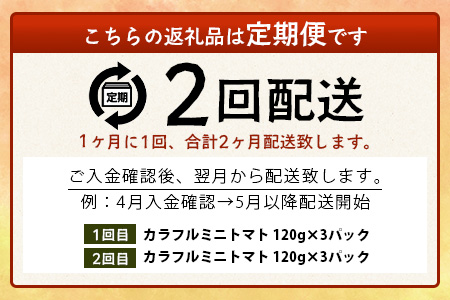 【2回定期便】【先行受付】2027年1月より順次発送予定【少量パック】カラフルミニトマト 360g (120gx3p) プチトマト 野菜 農家直送 佐賀県鹿島市 たにぐちファームRicotomato～とりこになるトマト～C-147