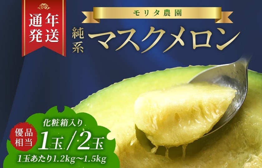 
            【通年栽培】純系マスクメロン（化粧箱入）：１玉または２玉　マスクメロン メロン フルーツ 果物 1玉 1個 2玉 2個 年間 通年 2026年 先行予約 先行受付 発送 すぐ 発送時期選べる おすすめ 贈答用 優 高級 化粧箱 箱入り プレゼント 贈り物 ギフト 国産 千葉県 富津市 送料無料 モリタ農園
          