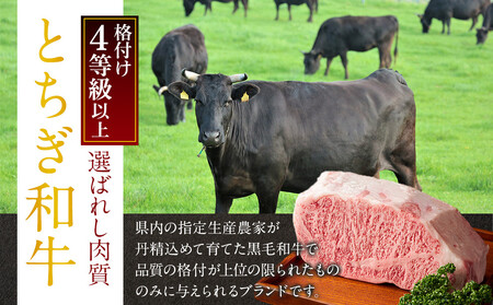 とちぎ和牛 ローストビーフ 200g  ｜ 牛肉 和牛  肉 ブランド牛 高級 ローストビーフ 栃木県共通返礼品