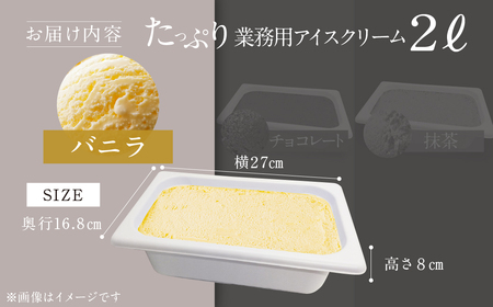 [バニラ味] 業務用アイス2リットル 大容量 アイスクリーム 訳あり 訳アリ 北海道産 純 生クリーム 牛乳 国産 岐阜県 本巣市 卵 無添加 甘い スイーツ デザート たっぷり コーヒー メロン い