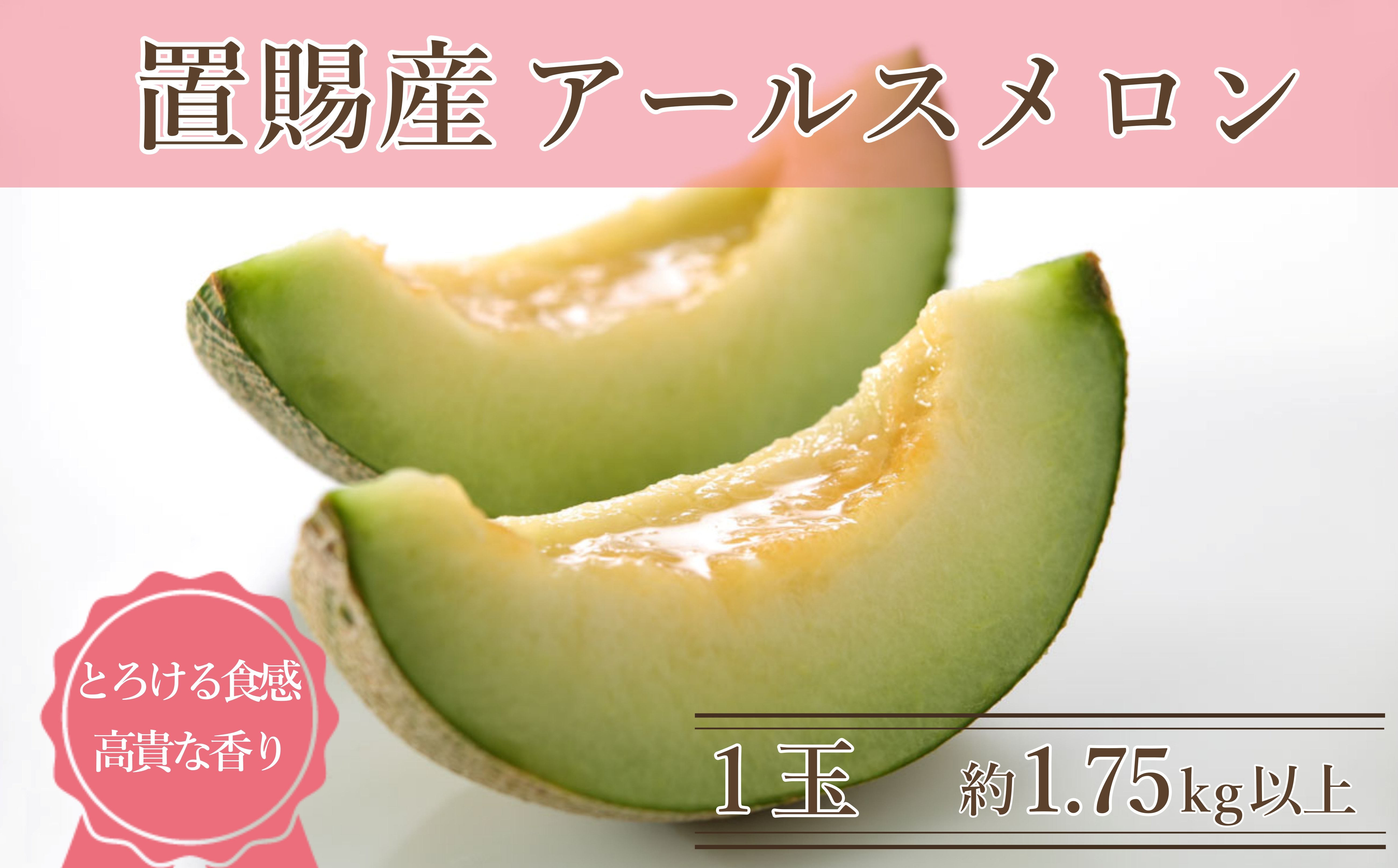 
            【2026年発送】置賜産マスクメロン（アールスメロン）約1.75kg以上×1玉_H245(R8)
          