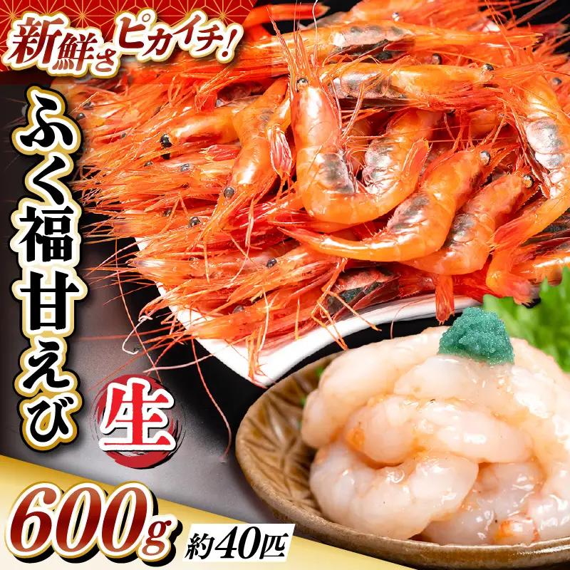 先行予約 新鮮 ふく福甘えび（生）600g 2026年9月上旬以降順次発送予定 冷蔵発送 エビ 海老 [A-13562]