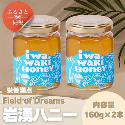 ふるさと納税 河内長野市 岩湧ハニー(百花、純粋はちみつ)160g×2本
