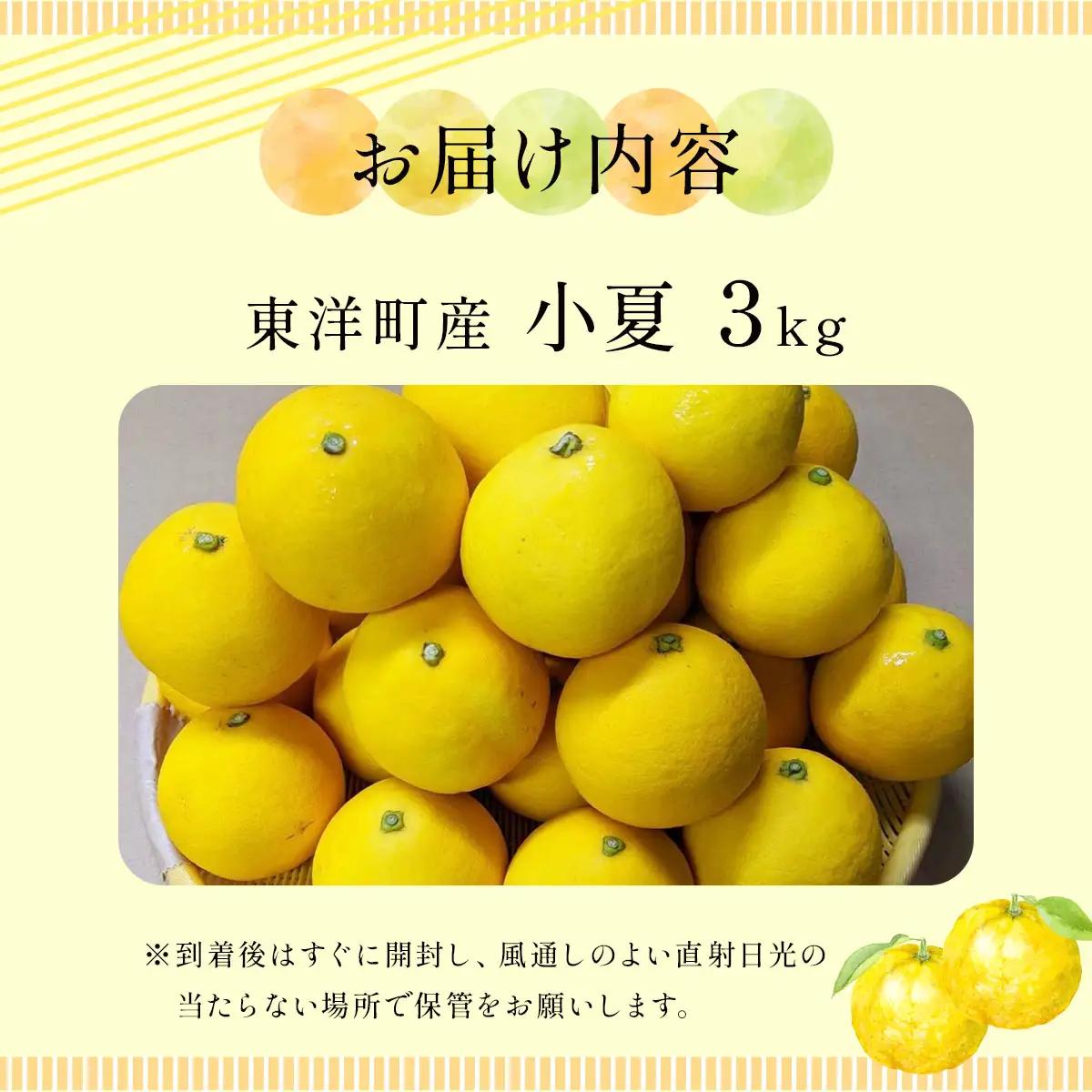 小夏　3kg　TA15 　【田中農園】