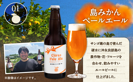 花火大会 応援！島 の ビール ” 島みかん ペールエール ”と じゃがいも チップス ” えらぶchips ”の「 晩酌セット 」 ビール × 2本 、チップス × 4袋 C064-002-04 酒