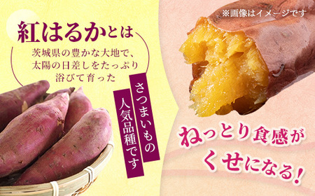 【訳あり】生芋10kg　SSサイズ～2Lサイズ（サイズバラ） ※離島への配送不可 ※2025年12月下旬頃より順次発送予定