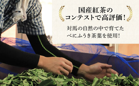 【全6回定期便】【2ヶ月に1回お届け】対馬紅茶リーフ30g×6個長崎 対馬 ティー べにふうき茶葉  [WBE012]