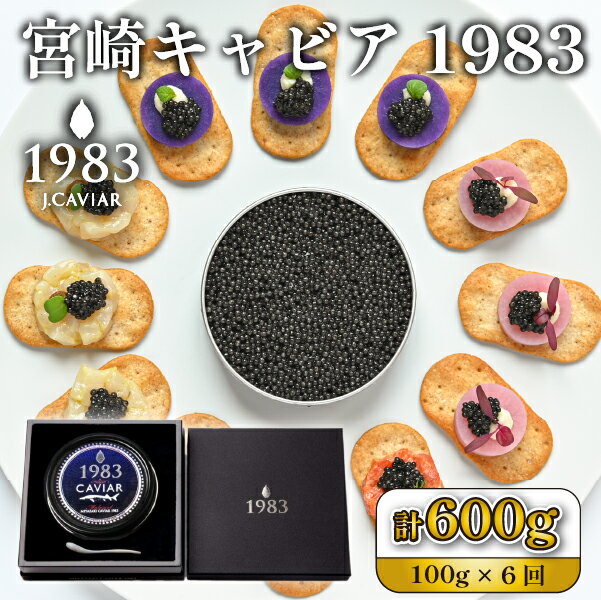 【ふるさと納税】＜定期便・全6回＞【国際線ファーストクラス採用】宮崎キャビア1983 100g×6回 キャビア 定期便 チョウザメの卵 チョウザメ 魚介 魚卵 おつまみ ふるさと 人気 おすすめ 贈答 ギフト お裾分け プレゼント 宮崎県 小林市 送料無料