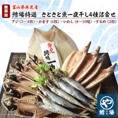 ふるさと納税 氷見市 【鱈場特選】きときと魚一夜干し!氷見産4種詰合せ《鯵・かます・鰯・するめ》
