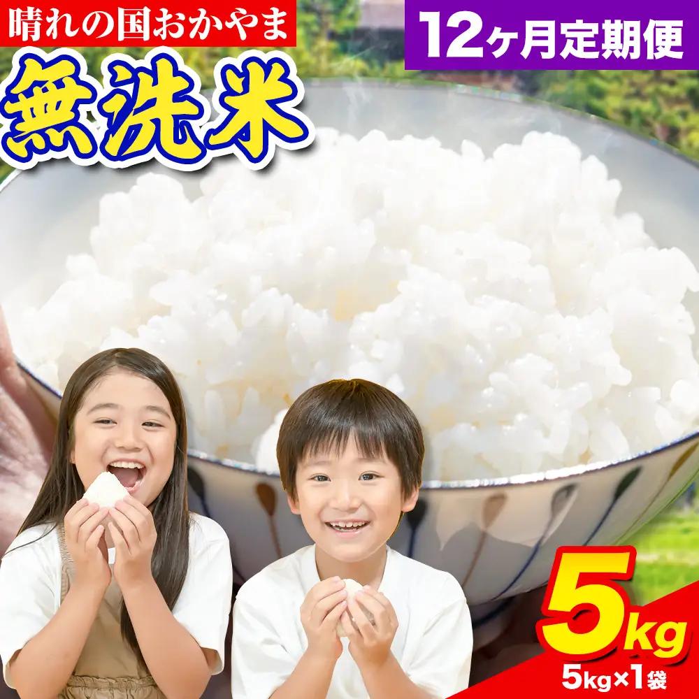 【12ヶ月定期便】晴れの国おかやま無洗米 5kg 無洗