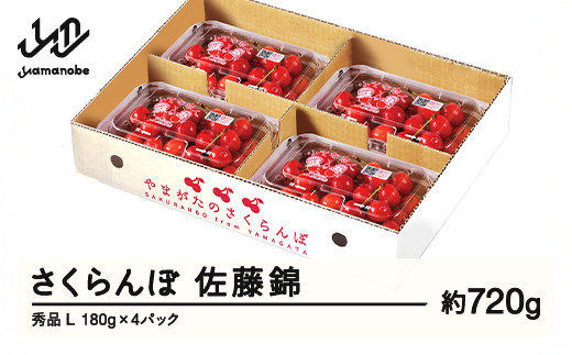 
            【ふるさと納税】先行予約 さくらんぼ 佐藤錦 秀品 L 約720g 令和7年産 2025年産 山形県産 フルーツ 果物 tf-snpsl720
          