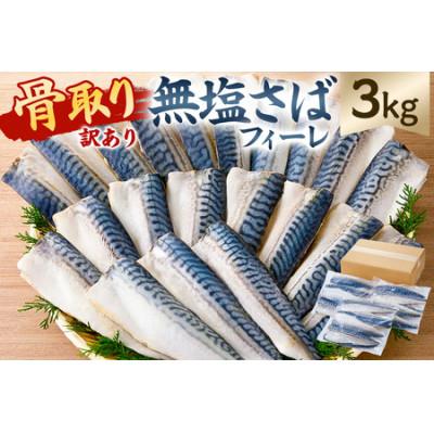 ふるさと納税 南房総市 【訳あり】骨取り無塩さばフィーレ3kg(1kg×3袋) mi0012-0149