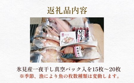 氷見産厳選一夜干し旬の詰合せ　| 干物 産地直送 一夜干し 干物セット 国産 富山 詰め合わせ 小分け 旬 新鮮 おつまみ おかず 簡単調理 焼魚 冷凍
