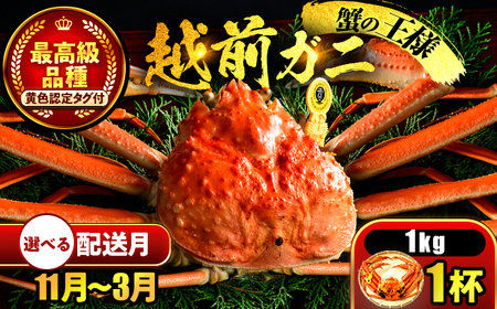 【先行予約/11月7日より順次発送】【希望月指定可】 越前がに 1kg×1ハイ  / 蟹 ズワイガニ ずわいがに ボイル 冷蔵 小浜市 / まるほ商店 【配送不可地域：北海道・沖縄・離島】[BFCS030]