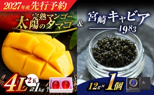 先行予約 完熟マンゴー 太陽のタマゴ (4L×2玉) ＆ 宮崎キャビア1983 1個 2027年産 宮崎 マンゴー フルーツ 果物 くだもの キャビア 魚介 魚卵 詰め合わせ 国産 食品 希少 デザート おすすめ 冷蔵 ご褒美 選べる ギフト 贈り物 日南市 送料無料_LF1-25