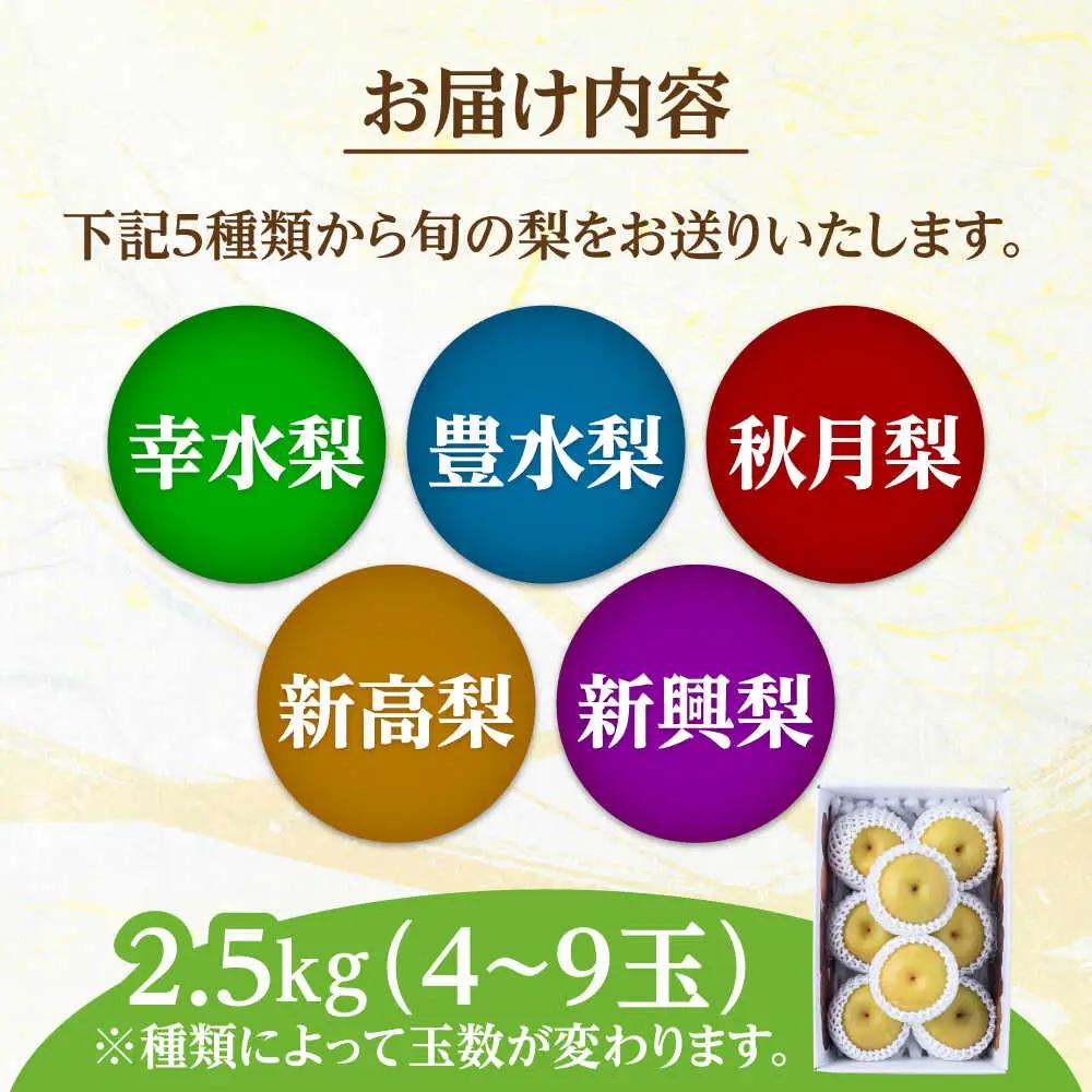旬の梨 約2.5kg  ARET007 日田 梨