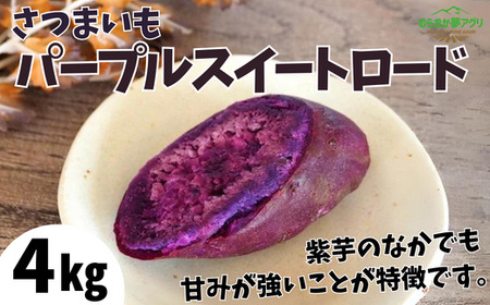 【先行予約】【さつまいも パープルスイートロード 4kg】10月から12月にかけて発送予定 農薬不使用 サツマイモ イモ いも ホクホク ねっとり 甘みが強い むらさきいも 紫芋 紫色 兵庫県 香美町 村岡 むらおか夢アグリ 13000円 41-24