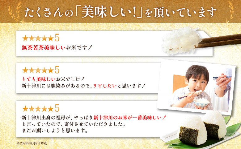 令和7年 ななつぼし 精米 定期便 12回 5kg  ｜ オンライン 申請 ふるさと納税 北海道 新十津川 北海道産 米 ブランド ブランド米 お米 北海道米 道産米 道産 ご飯 美味しい ギフト  