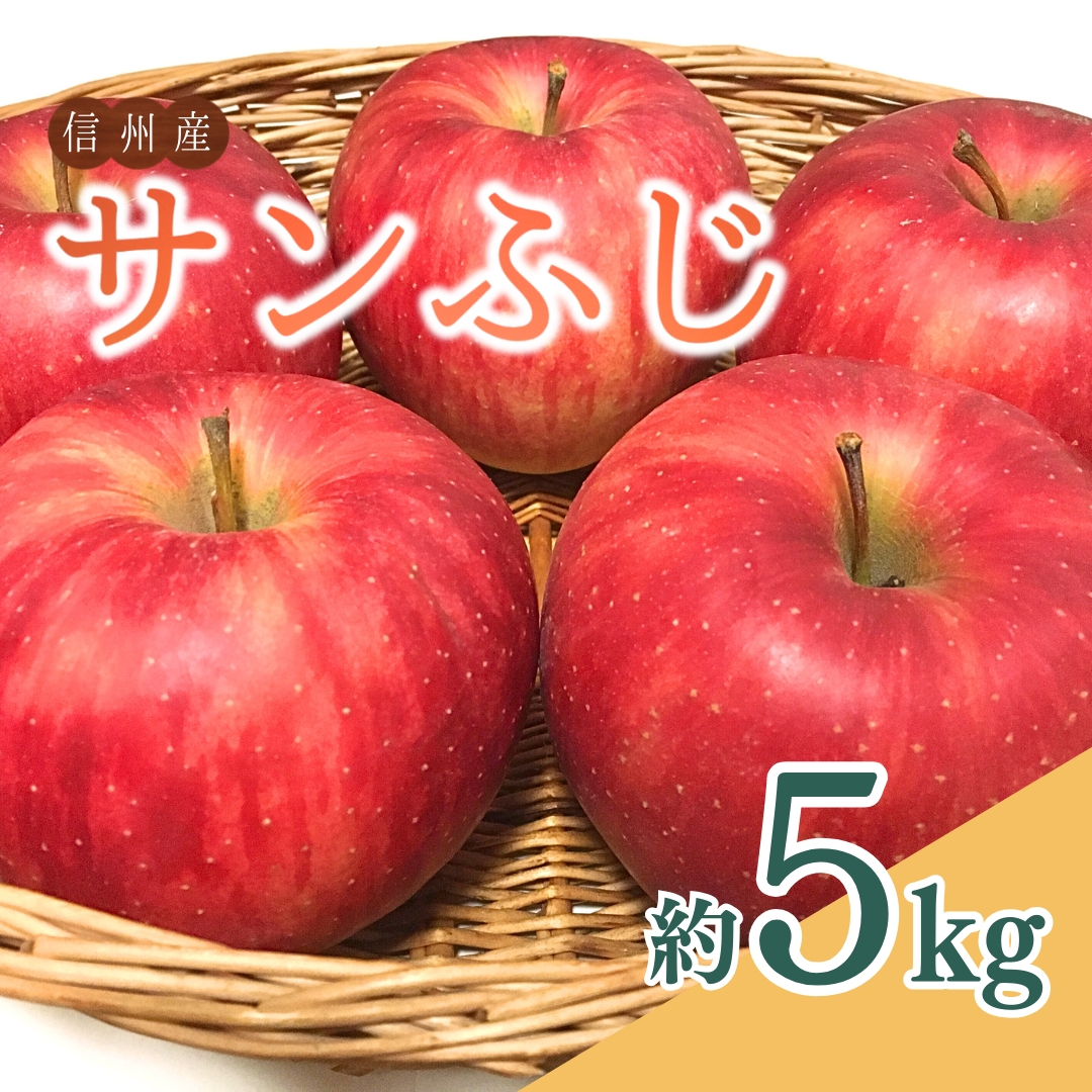 【2026年先行予約】ザ・王道 りんご サンふじ 約5kg | 信州りんご 長野りんご リンゴ 林檎 さんふじ サンフジ 千曲市 長野県産 信州
