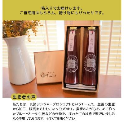 ふるさと納税 上毛町 【上毛町産ブルーベリー使用】ジンジャーシロップ　2本セット |  | 03